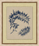 Small Navy Sea Fan 2, Giclee Reproduction Artwork