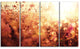 Brown Shade Flowers in Sunshine, Large Flower Canvas Print, 48"x28", 4 Panels