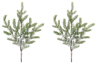 Pine Spray, Set of 2