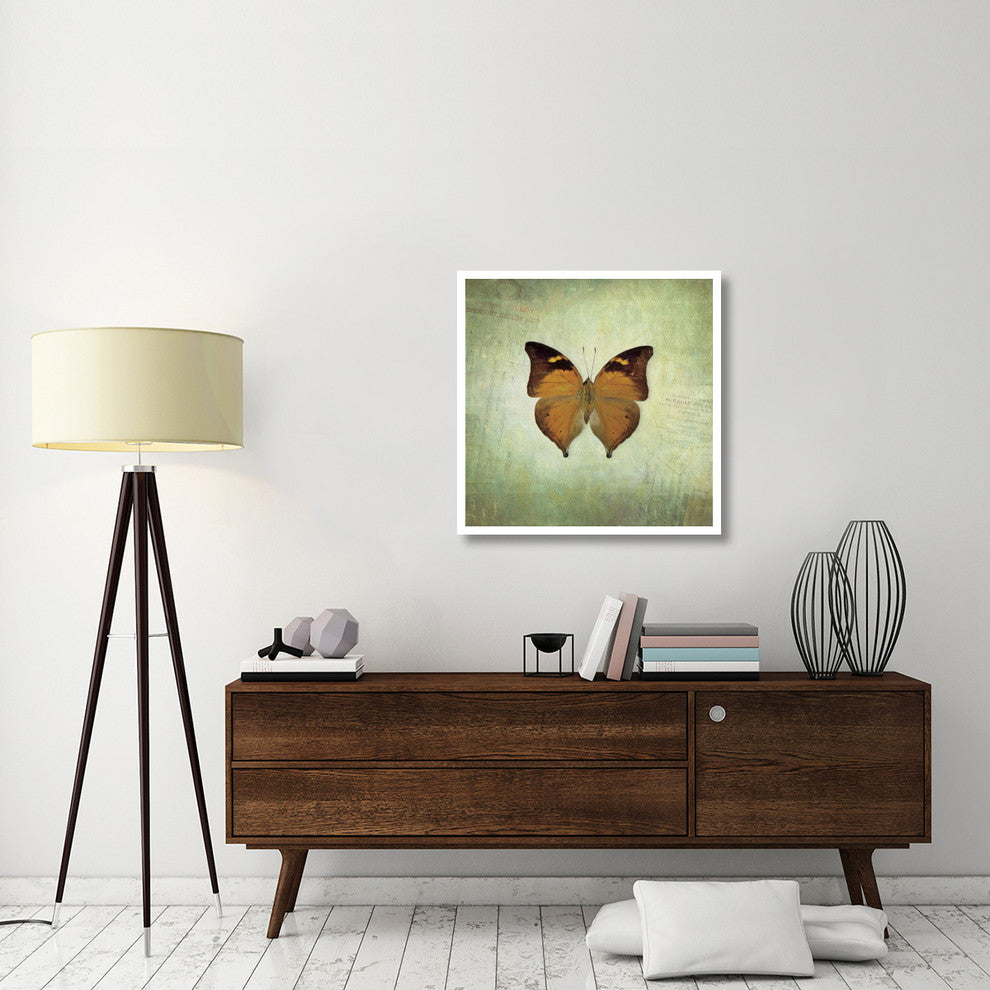 "French Butterfly VII" Digital Paper Print by Debra Van Swearingen, 32"x32"