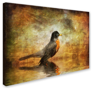 'The Robin' Canvas Art by Lois Bryan
