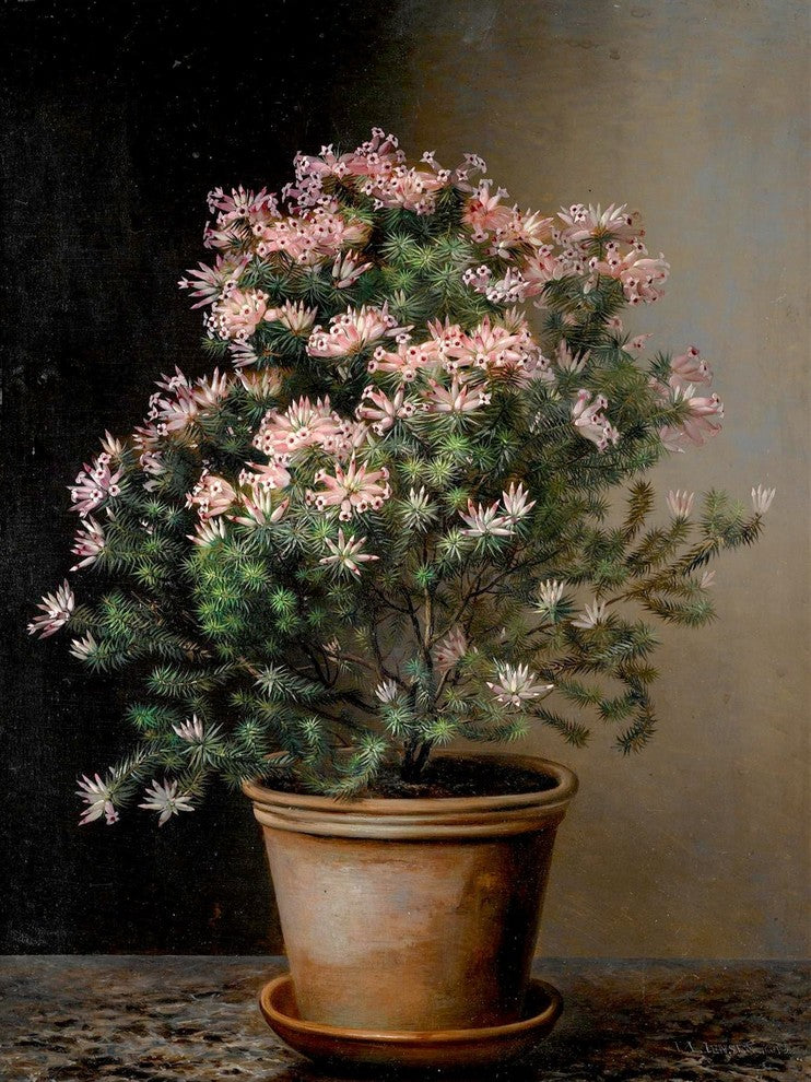 Tile Mural Still Life Of Flowers By Johan Laurentz Jensen, 6"x8", Matte