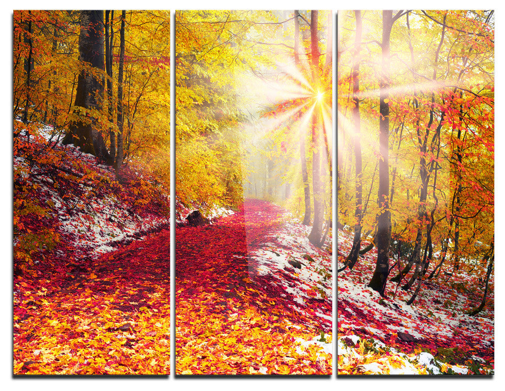 "Bright Yellow Sun in Alpine Forest" Photo Metal Wall Art, 3 Panels, 36"x28"