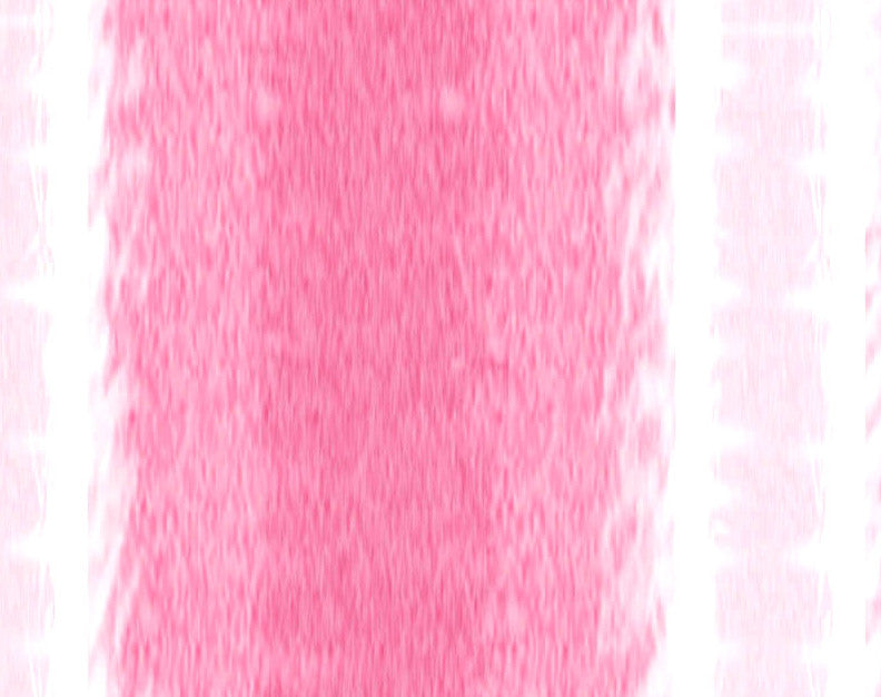 Sea Lines, Stripe Print Kitchen Towel, Pink