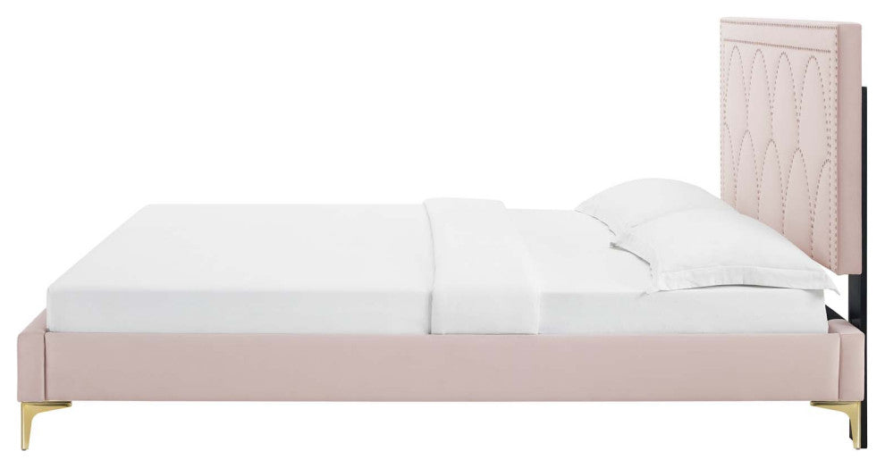 Platform Bed Frame, Nailhead, Queen Size, Pink, Velvet, Modern, Guest Suite