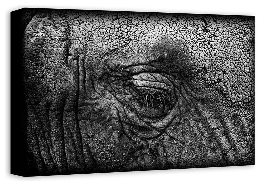 Elephant Skin Texture Print on Canvas