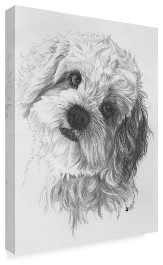 "Cavachon" by Barbara Keith, Canvas Art