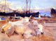 John Singer Sargent An Oxen on the Beach at Baia Gallery Wrapped Canvas Print