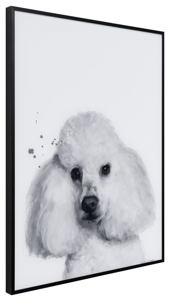 "Poodle" Black, White Portraits Printed Art Glass With A Black Aluminum Frame