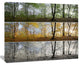 Three Seasons Forest Panorama, Landscape Canvas Art Print, 40"x30"