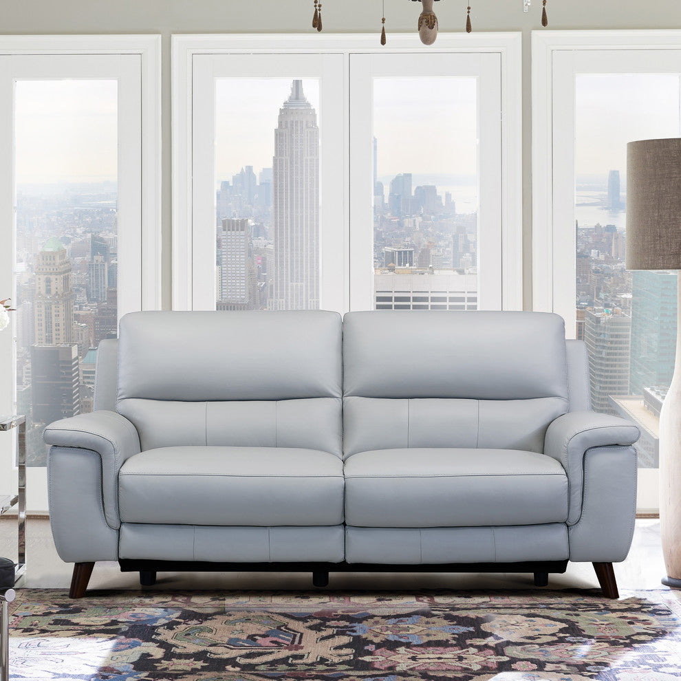 Steffanie Contemporary Sofa, Dark Wood and Dove Gray Genuine Leather