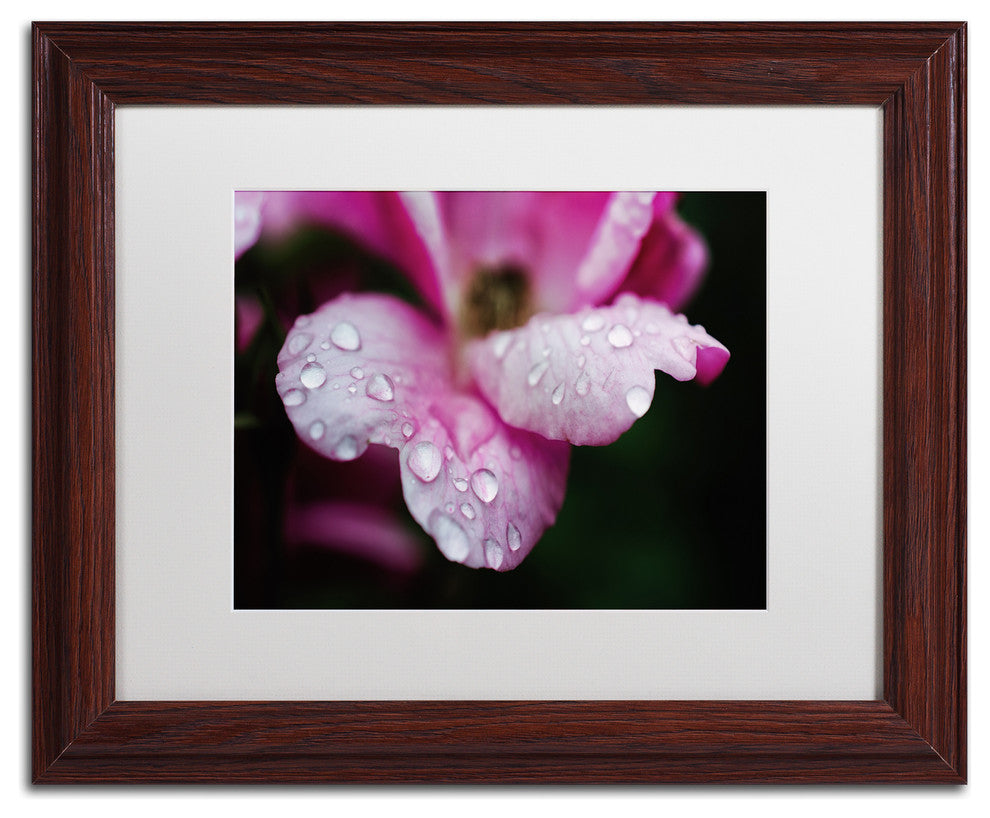 PIPA Fine Art 'Raindrops on Wild Rose Color' Matted Framed Art, 14x11