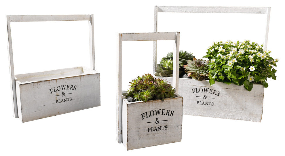Flowers and Plants Painted White Planters, Set of 3