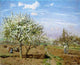 Camille Pissarro Orchard in Blossom Louveciennes Wall Decal Print
