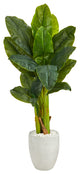 52" Triple Stalk Artificial Banana Tree, White Planter, Real Touch