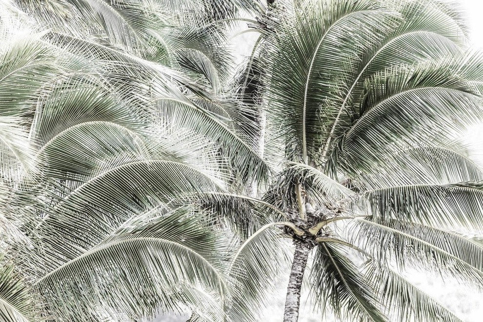 "Tropical Trees" Painting Print on Wrapped Canvas