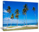 "Bright And Clear Tropical Beach" Seascape Art Canvas, 40"x30"