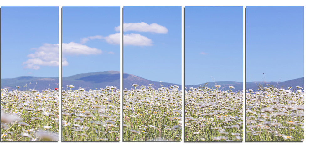 Chamomiles with Hills on Background, Flower Canvas Print, 60"x28", 5 Panels
