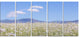Chamomiles with Hills on Background, Flower Canvas Print, 60"x28", 5 Panels