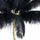 Akari Black Ostrich Feather Floor Lamp