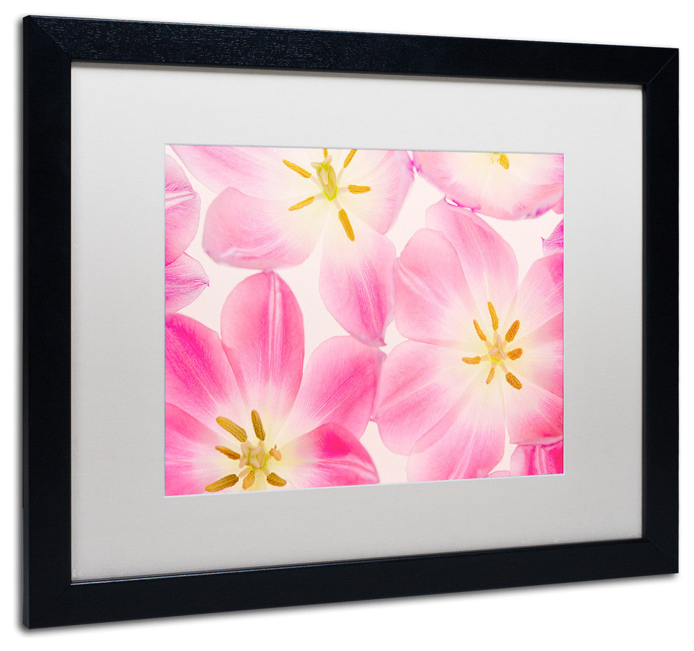 Cora Niele ''Three Cerise Pink Tulips'' Matted Framed Art