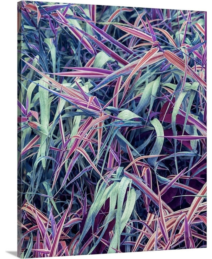 "NY State Fall Grass Fantasy" Wrapped Canvas Art Print, 24"x30"x1.5"
