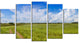 Road in Field with Green Grass, Landscape Canvas Art Print, 60"x32", 5 Panels
