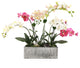 Real Touch Phalaenopsis Orchids in Luxe Silver Ceramic Pot