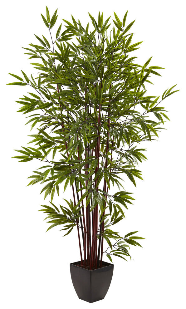 6' Bamboo Silk Tree With Planter