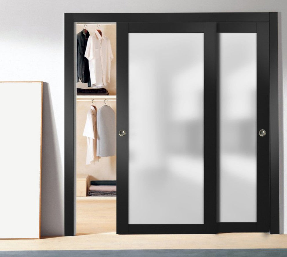 Slab Barn Door Panel Frosted Glass Lite 30 x 96 | Planum 2102 Black Matte
