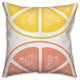 Lemon and Grapefruit 18x18 Indoor / Outdoor Pillow
