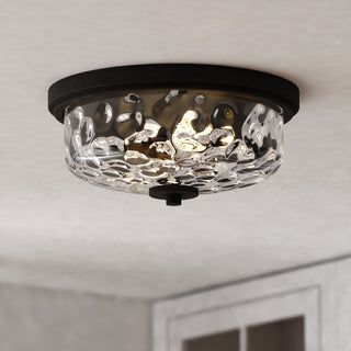 Northlake 2-Light Black Transitional Dome Flush Mount Fixture, Clear Glass Shade