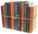 Decorative Books - Rustic Spruce Book Bundle - 1 foot of Orange and Blue Books