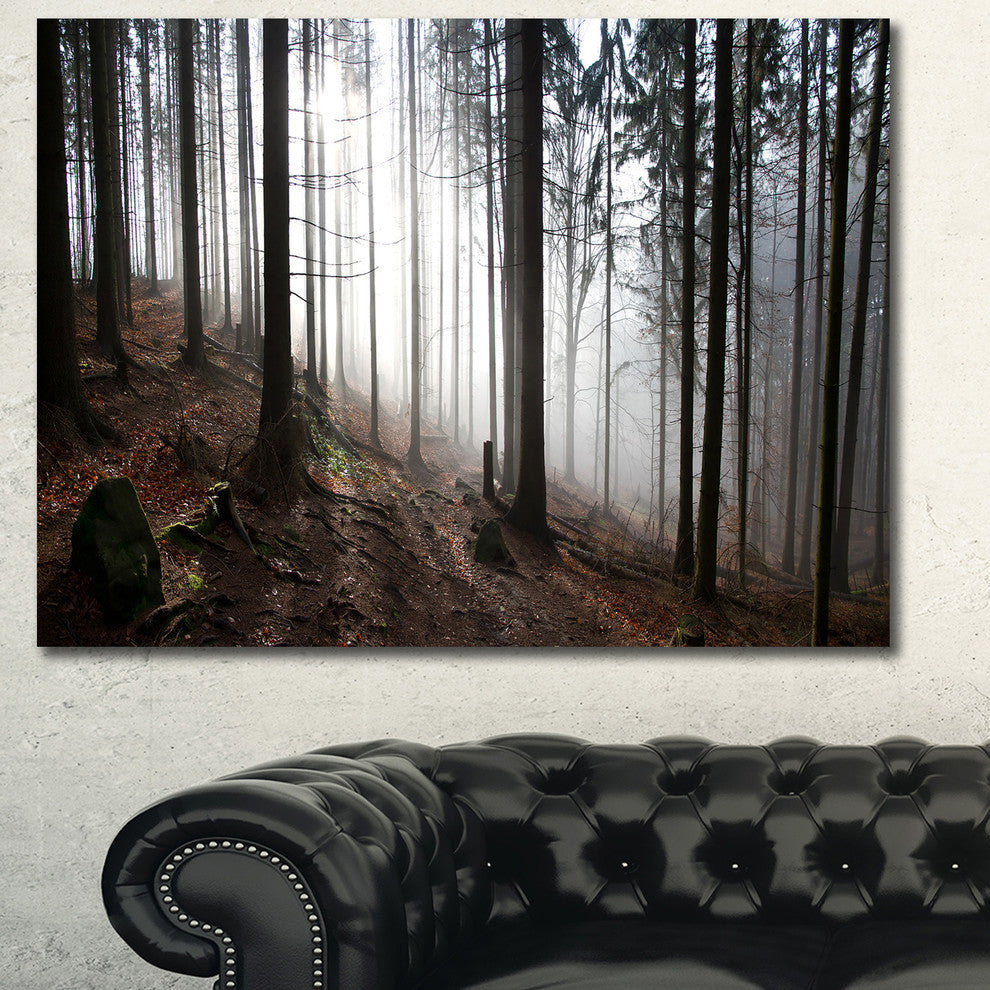 Misty Forest Morning Panorama, Landscape Canvas Art Print, 40"x30"