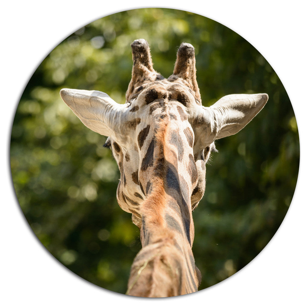 Giraffe Head Back View, Animal Disc Metal Wall Art, 23"