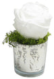 Mercury Glass Votive, Reindeer Moss and Rose White Floral Arrangement