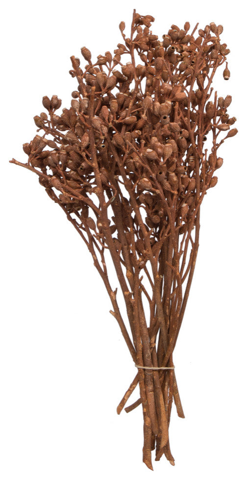 Vickerman Natural Botanicals 12" x 1-3" Eucalyptus Clusters, Orange, 12" x 1-3"