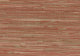Yan Yan Red Grasscloth Wallpaper,, Sample