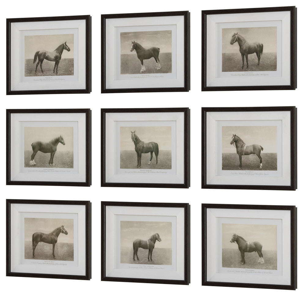 Uttermost - 32343 - Framed Prints, S/9 - Equine Dynasty - Dark Walnut