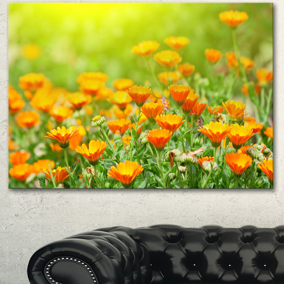Yellow Marigold Flowers, Floral Canvas Art Print, 40"x30"