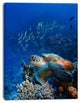 Large Sea Turtle underwater, Abstract Canvas Art Print, 12"x20"