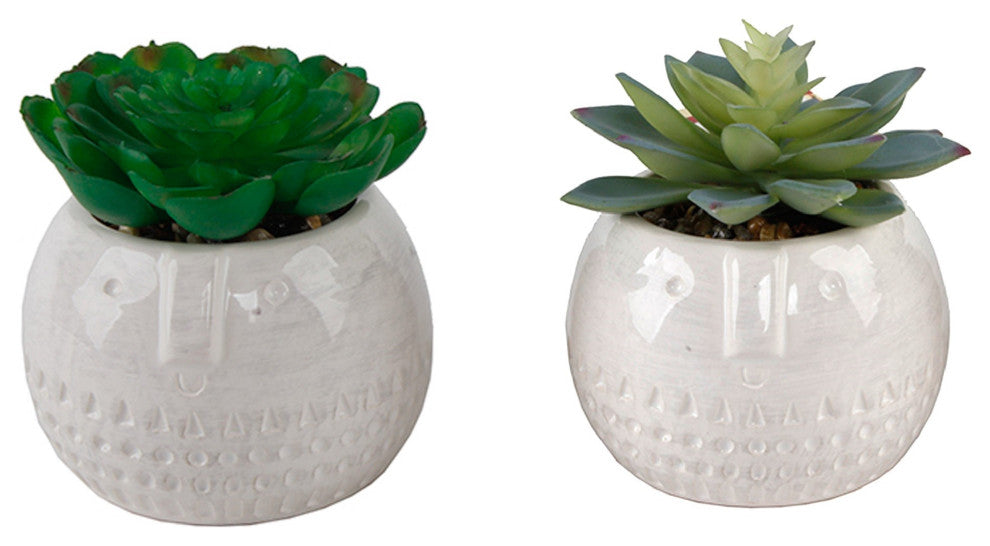 Set Of 2 Faux Succulent In Cylinder Cool Faceceramic Pot