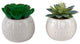 Set Of 2 Faux Succulent In Cylinder Cool Faceceramic Pot