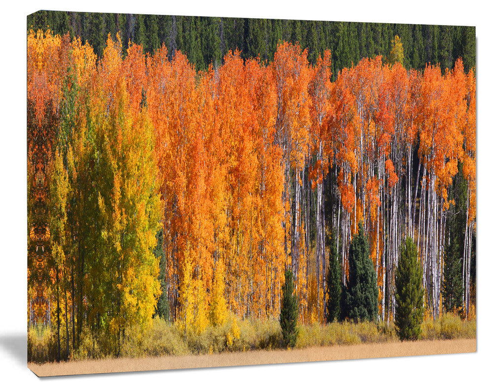 Fall Trees Panorama, Landscape Canvas Art Print, 20"x12"