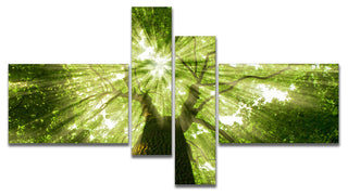 Sunlight Peeking through Green Tree, Landscape Canvas Print, 60"x32", 4 panels