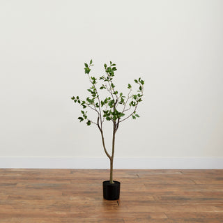 Lifestyle shot in interior showing full tree.