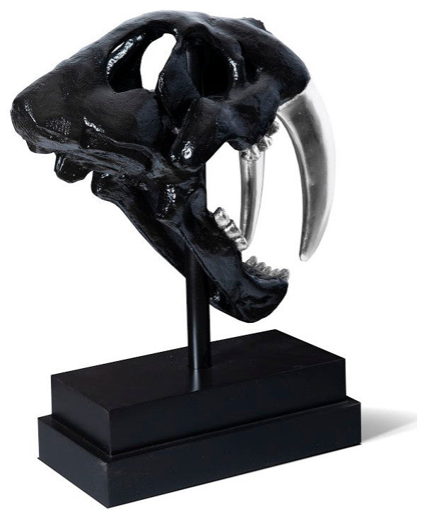 Saber Tooth Tiger Skull, Black