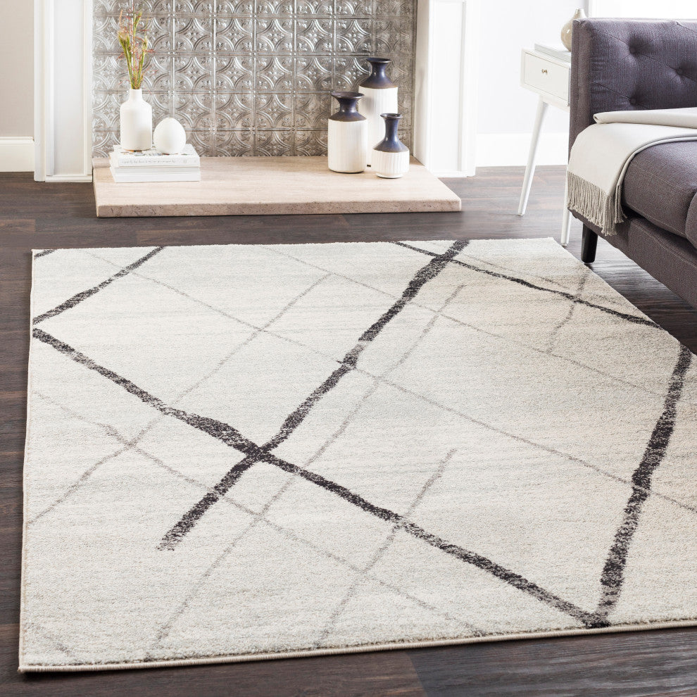 Elaziz Modern Gray, White Area Rug, 2'x3'