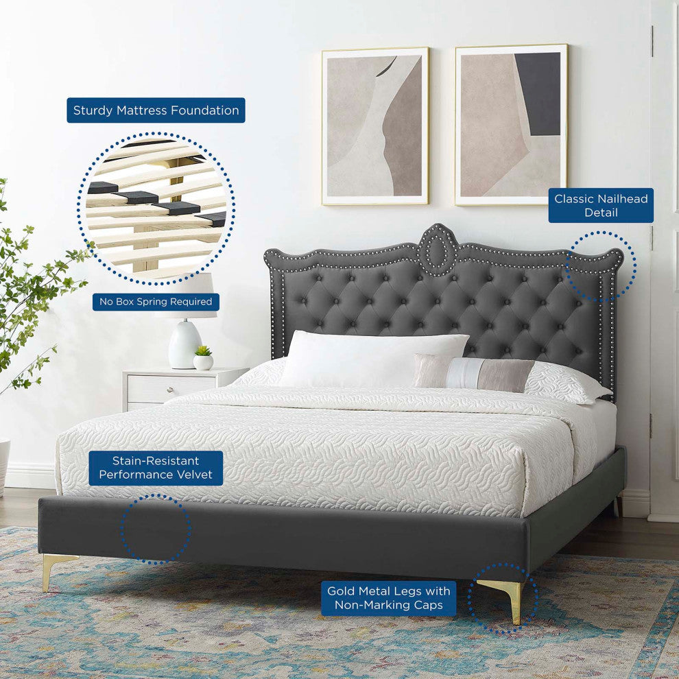Platform Bed Frame, Nailhead, Queen Size, Charcoal Gray, Velvet, Modern
