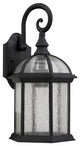 Havana Divine Transitional 1-Light Black Outdoor Wall Sconce